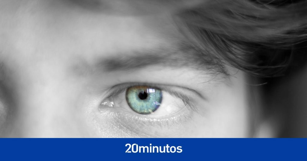 el cerebro crea una ilusión con toda la información captada en los últimos 15 segundos