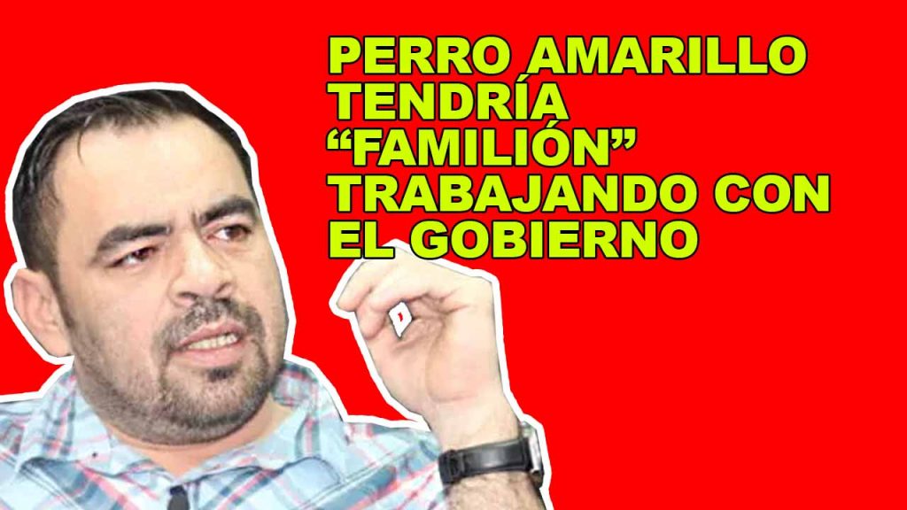 PERRO AMARILLO TENDRÍA “FAMILIÓN” TRABAJANDO CON EL GOBIERNO
