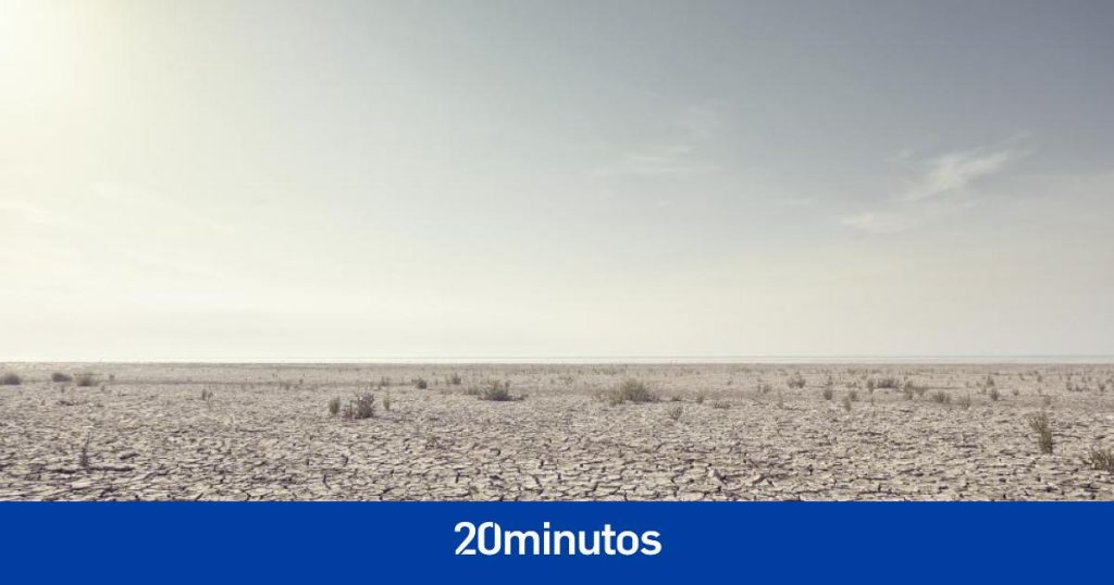 ¿Por qué sucede? ¿Qué municipios están en fase de «alerta»? ¿Qué medidas hay que tomar? ¿Por qué sucede? ¿Qué municipios están en fase de «alerta»? ¿Qué medidas hay que tomar?