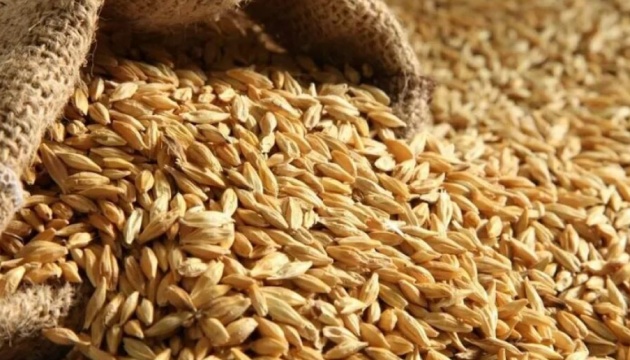 Bulgaria está considerando imponer una prohibición a las importaciones de cereales de Ucrania