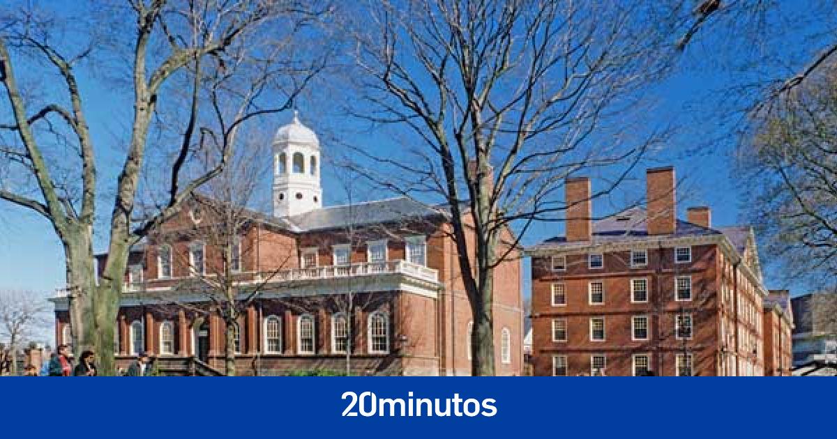 El acertijo que el 98% de los estudiantes de Harvard no saben responder, pero el 83% de los niños de guardería sí