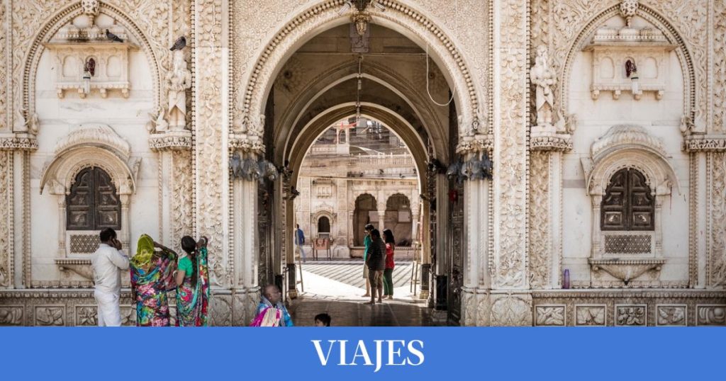 El templo sagrado donde se veneran a más de 25.000 ratas