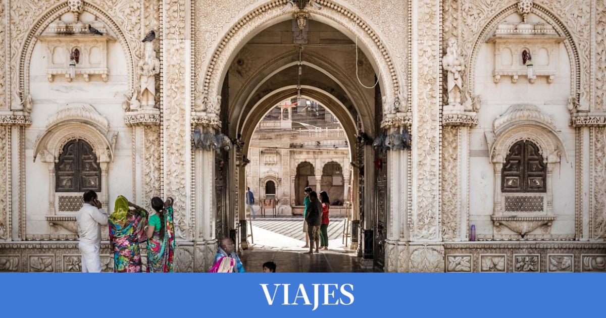 El templo sagrado donde se veneran a más de 25.000 ratas