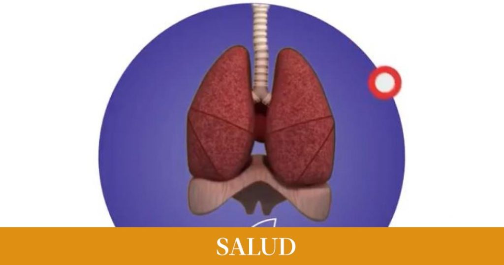 El test online de un hospital para saber cómo de fuertes son tus pulmones El test online de un hospital para saber cómo de fuertes son tus pulmones