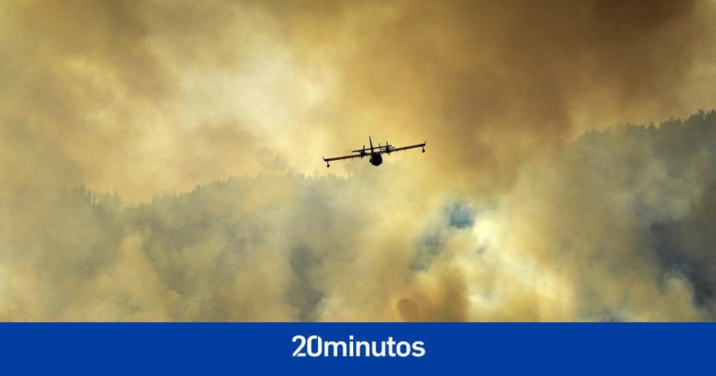 «Es casi un milagro que a día de hoy no tengamos que lamentar víctimas humanas»