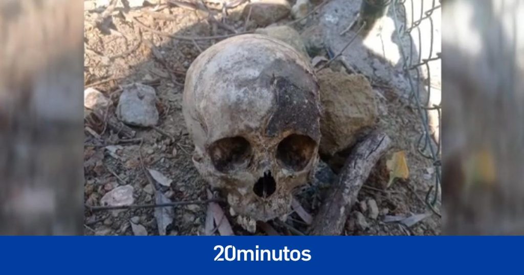 Hallan el cadáver momificado de una mujer en una maleta en Benahavís