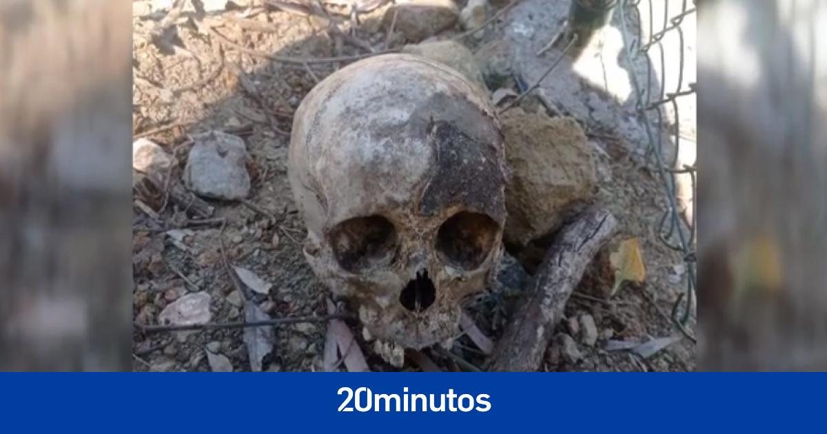 Hallan el cadáver momificado de una mujer en una maleta en Benahavís