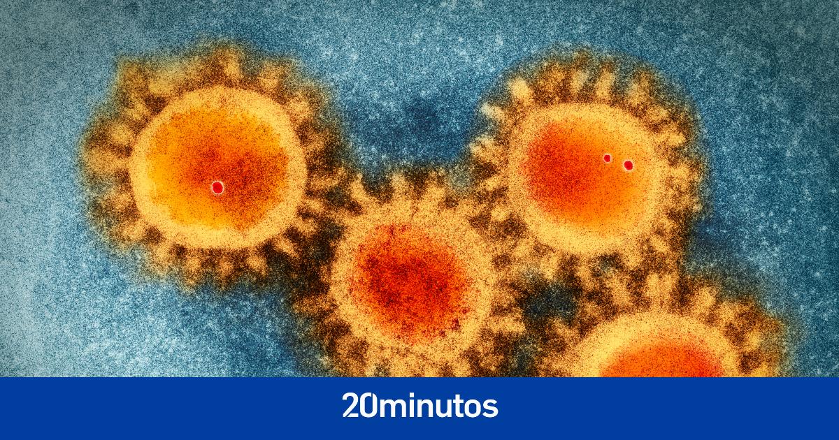 La OMS confirma la presencia de ‘Arcturus’, una nueva variante de la Covid «mucho más transmisible» La OMS confirma la presencia de ‘Arcturus’, una nueva variante de la Covid «mucho más transmisible»