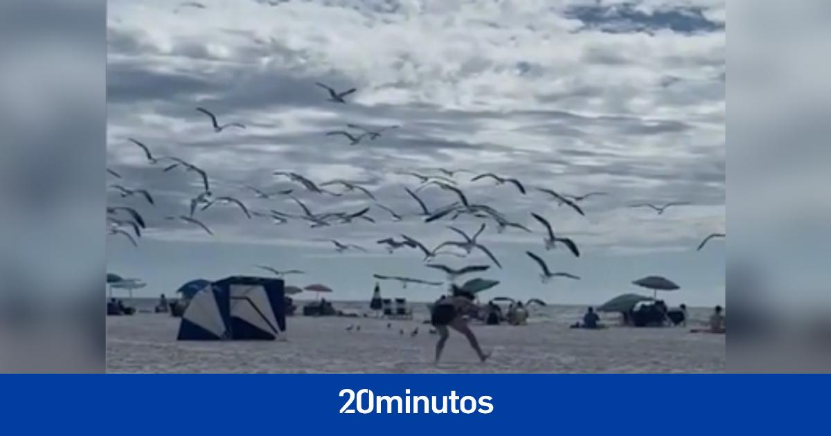 La cómica batalla por conseguir el bocata más cotizado de esta playa
