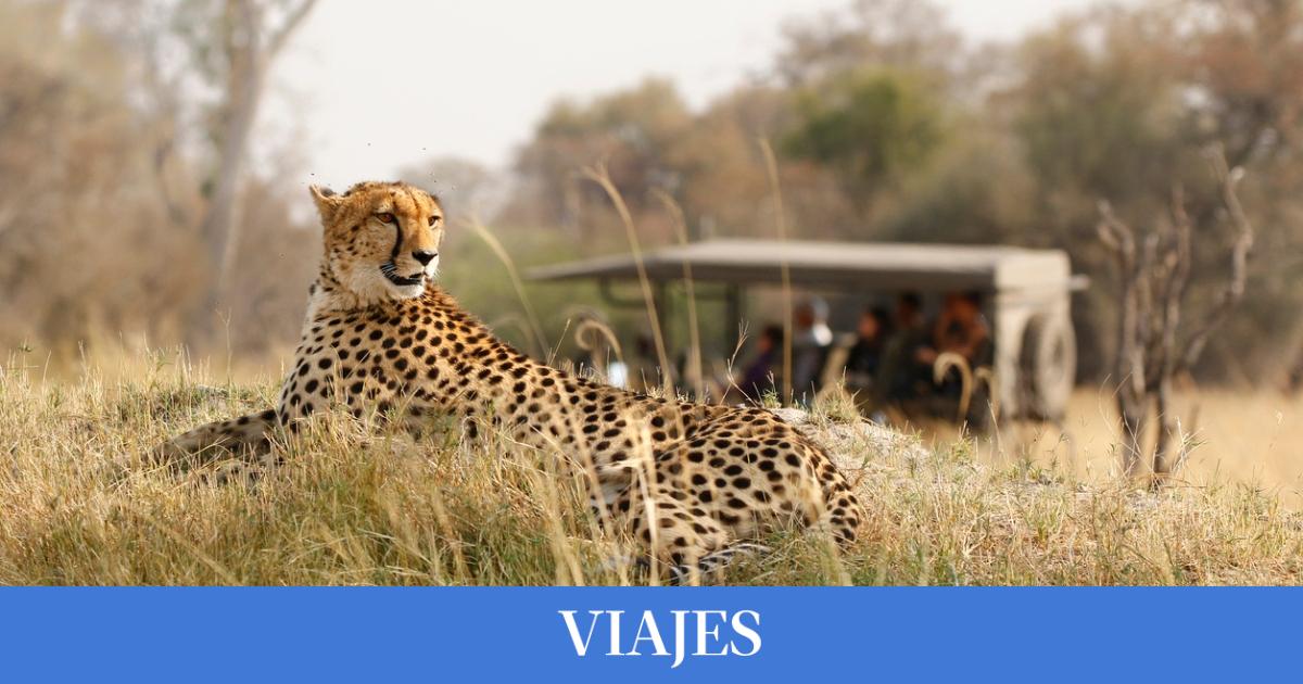 Los 5 grandes parques naturales de África que debes conocer si te planteas hacer un safari