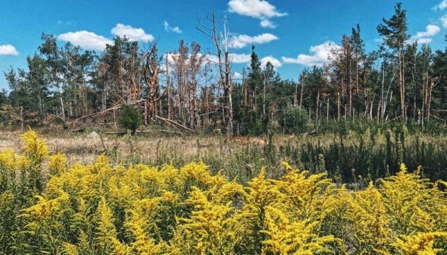 Los daños causados por los crímenes rusos contra el medio ambiente en la región de Luhansk superan los 475 mil millones de UAH Los daños causados por los crímenes rusos contra el medio ambiente en la región de Luhansk superan los 475 mil millones de UAH