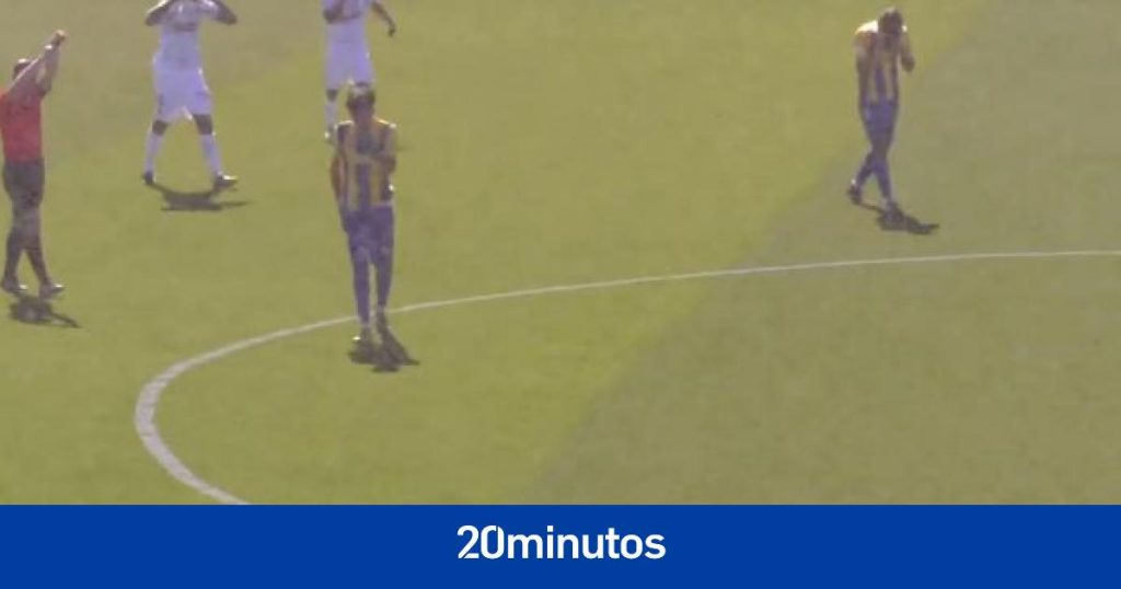 Una nube de mosquitos obliga a suspender un partido de fútbol en Cádiz Una nube de mosquitos obliga a suspender un partido de fútbol en Cádiz