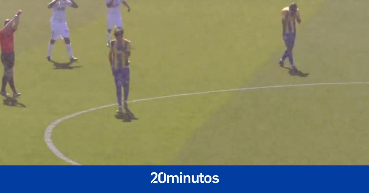 Una nube de mosquitos obliga a suspender un partido de fútbol en Cádiz