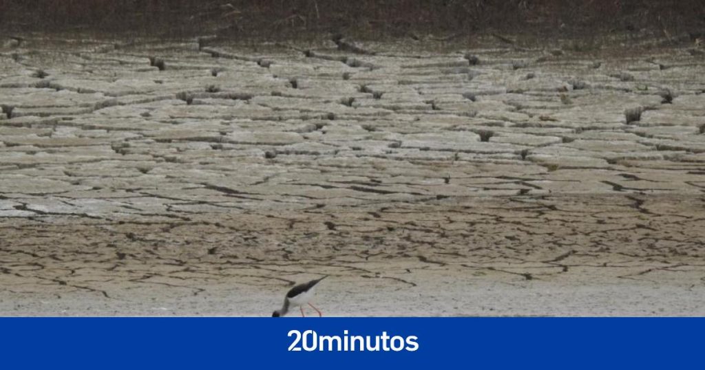 «Vamos en camino de perder el 100%»