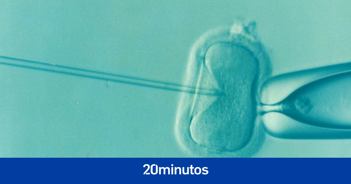 ¿Aumenta la reproducción asistida el riesgo de defectos congénitos en el bebé? ¿Aumenta la reproducción asistida el riesgo de defectos congénitos en el bebé?