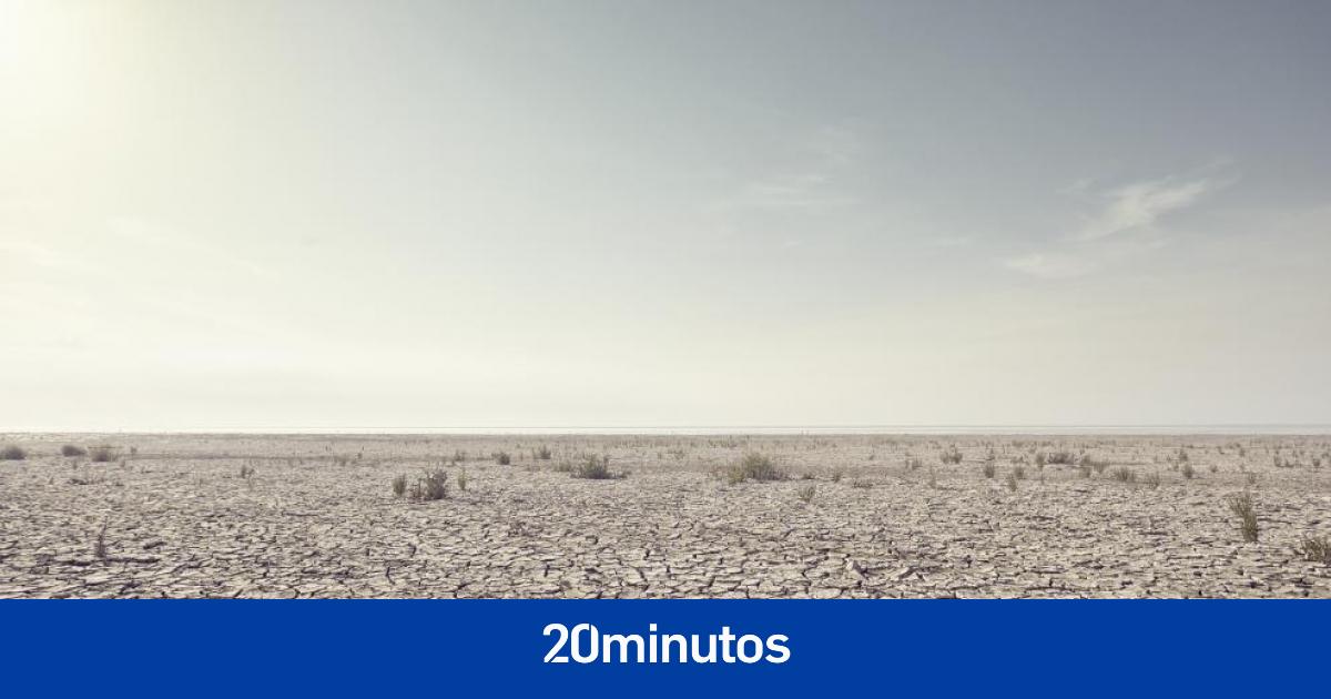 ¿Por qué sucede? ¿Qué municipios están en fase de «alerta»? ¿Qué medidas hay que tomar? ¿Por qué sucede? ¿Qué municipios están en fase de «alerta»? ¿Qué medidas hay que tomar?