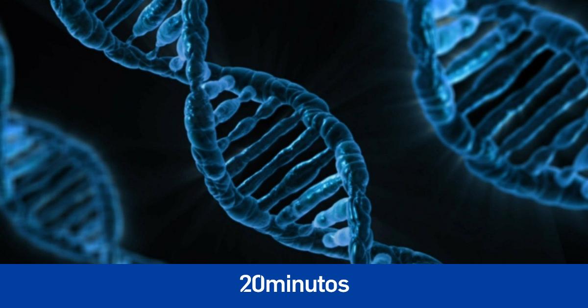 Científicos españoles participan en el borrador de un nuevo pangenoma más útil para reflejar la diversidad humana Científicos españoles participan en el borrador de un nuevo pangenoma más útil para reflejar la diversidad humana