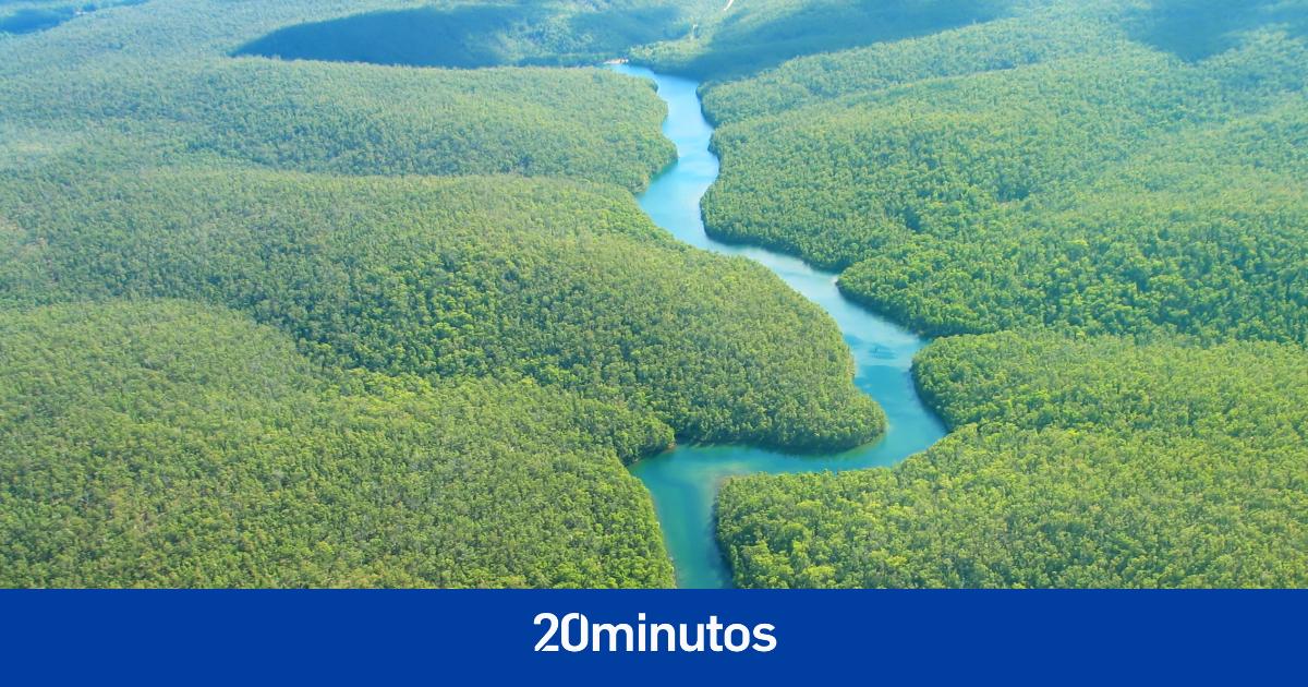 Continúa la búsqueda de un avión desaparecido el lunes en Amazonía colombiana