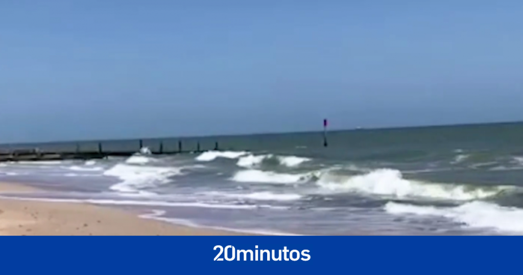 El ansiado reencuentro de esta foca con su hogar después de ser rescatada de una red en la que quedó atrapada