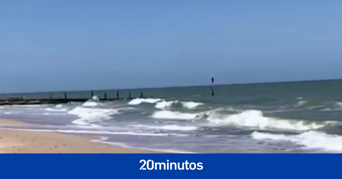 El ansiado reencuentro de esta foca con su hogar después de ser rescatada de una red en la que quedó atrapada