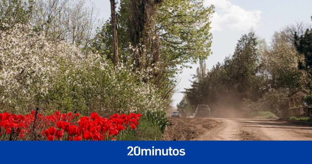 La cuenta atrás para el esperado contraataque en Vugledar, allí donde entre barros y ruinas crecen tulipanes rojos del color de la sangre