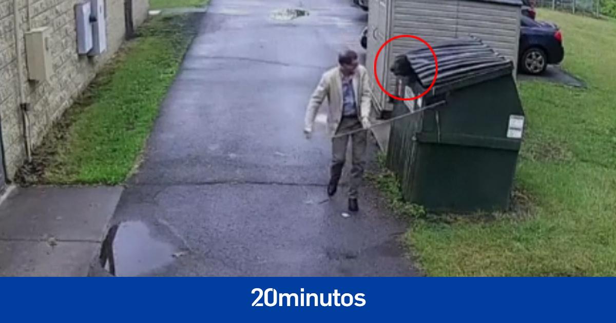 Se lleva un susto tremendo al encontrar un oso en un contenedor de basura Se lleva un susto tremendo al encontrar un oso en un contenedor de basura