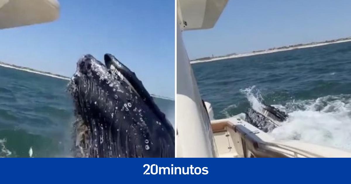 «Sube el volumen para un efecto completo»
