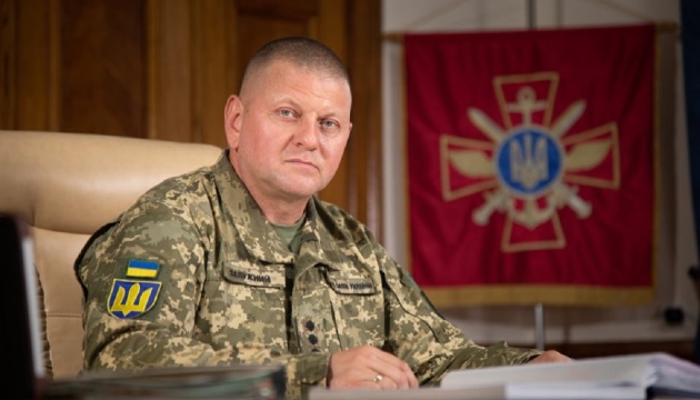 Zaluzhny discute la situación en el frente con el Inspector General de la Bundeswehr