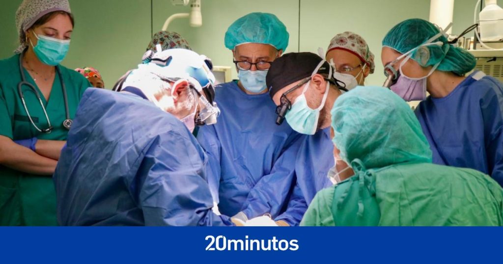 cardiólogos españoles implantan con éxito un marcapasos sin cables a un bebé por primera vez en Europa cardiólogos españoles implantan con éxito un marcapasos sin cables a un bebé por primera vez en Europa