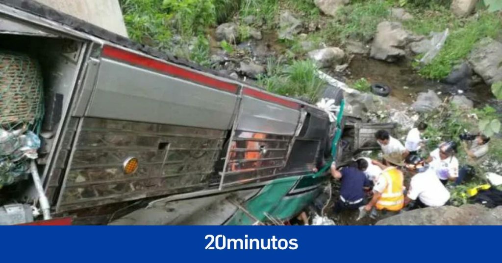 hay cuatro muertos por las picaduras hay cuatro muertos por las picaduras