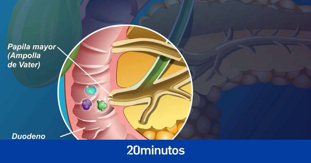 una vacuna de ARN muestra resultados prometedores con el cáncer más letal una vacuna de ARN muestra resultados prometedores con el cáncer más letal