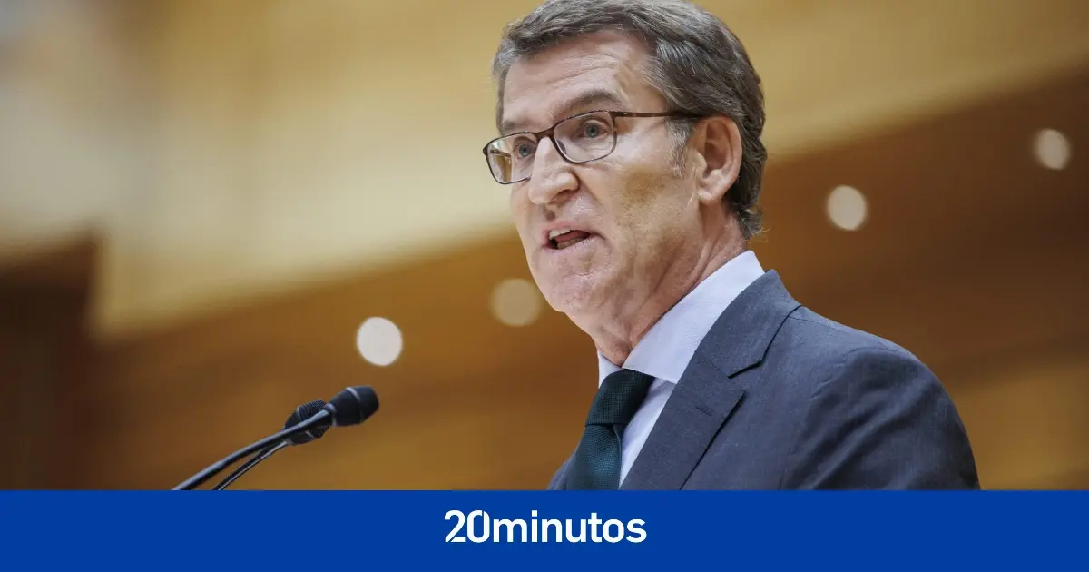 Feijóo cobró en 2022 del PP un sueldo de 39.260 euros por gastos de representación