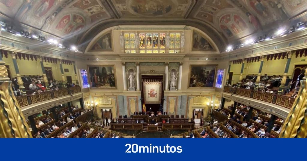 así afecta el adelanto electoral a las normas sobre discapacidad