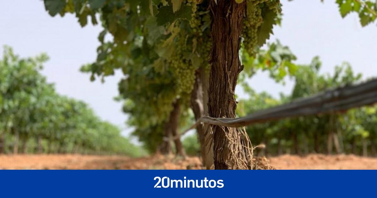 fallece un agricultor de 46 años en un pueblo de Ciudad Real