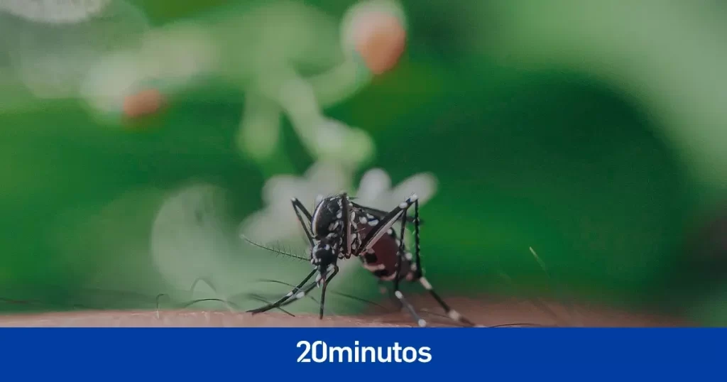 Andalucía detecta el virus de la fiebre del Nilo en varios municipios de Sevilla