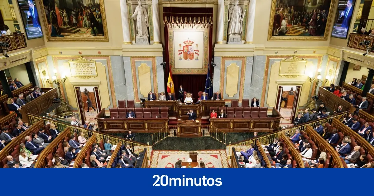 Estos son los privilegios que tienen los políticos con asiento en el Congreso de los Diputados