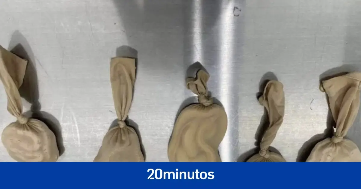 La Aduana china intercepta a una viajera con cinco serpientes adheridas al cuerpo La Aduana china intercepta a una viajera con cinco serpientes adheridas al cuerpo