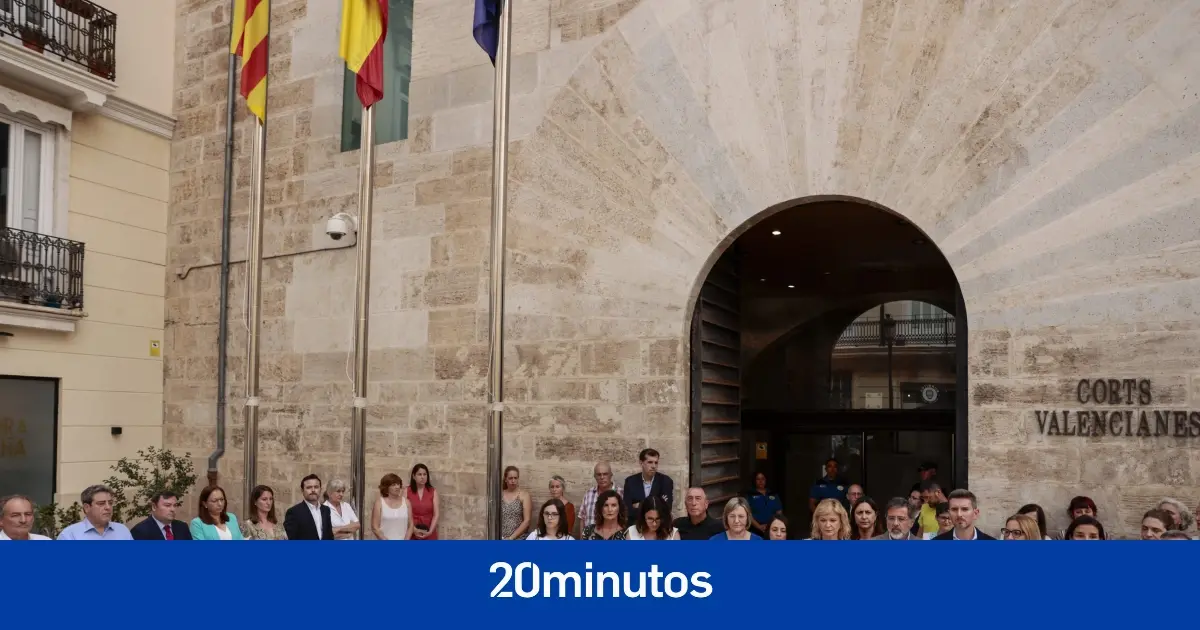 La presidenta de Les Corts se aleja de la pancarta contra la violencia machista en el minuto de silencio por una víctima