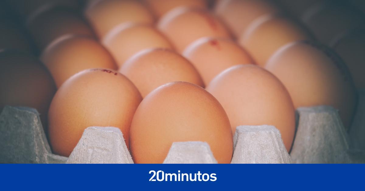 Palermo pide no comer carne y huevos ante la presencia de dioxinas tras un incendio