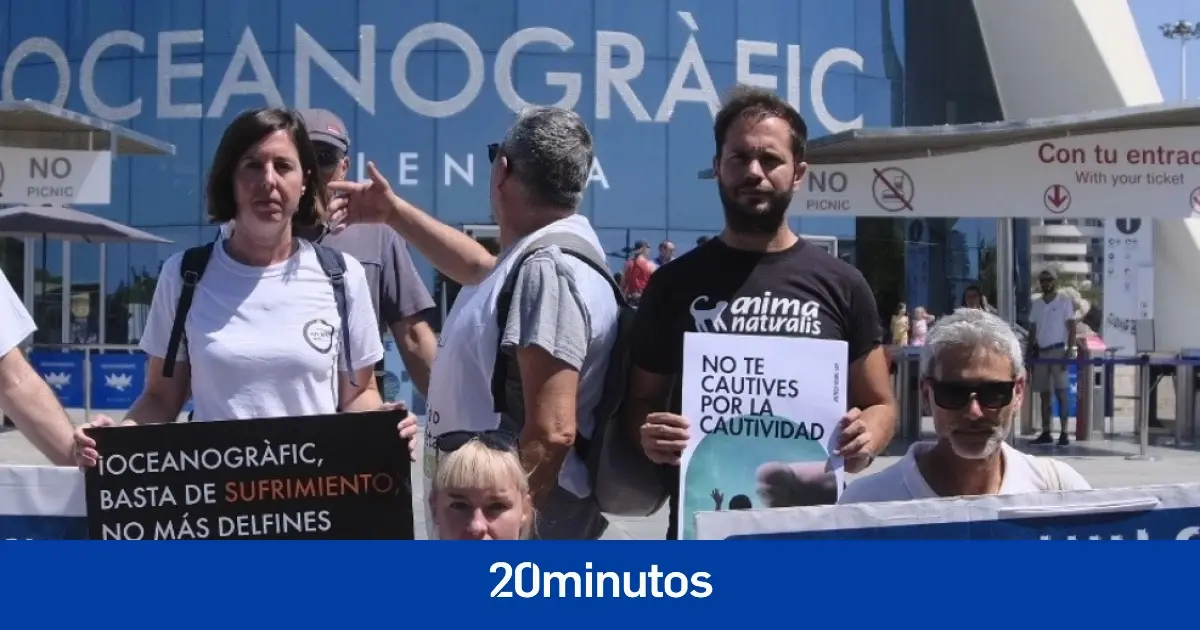 Protestan a las puertas del Oceanogràfic de Valencia para denunciar el maltrato a delfines