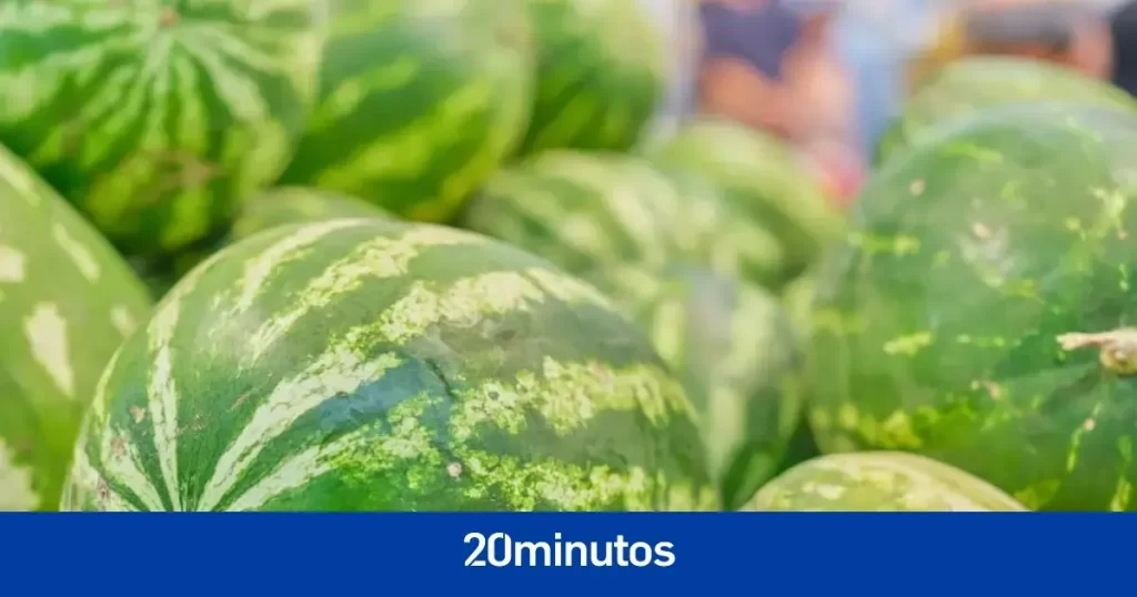 Robos, jabalíes, pesticidas… El peor verano jamás conocido por la sandía que podría afectar al precio este agosto