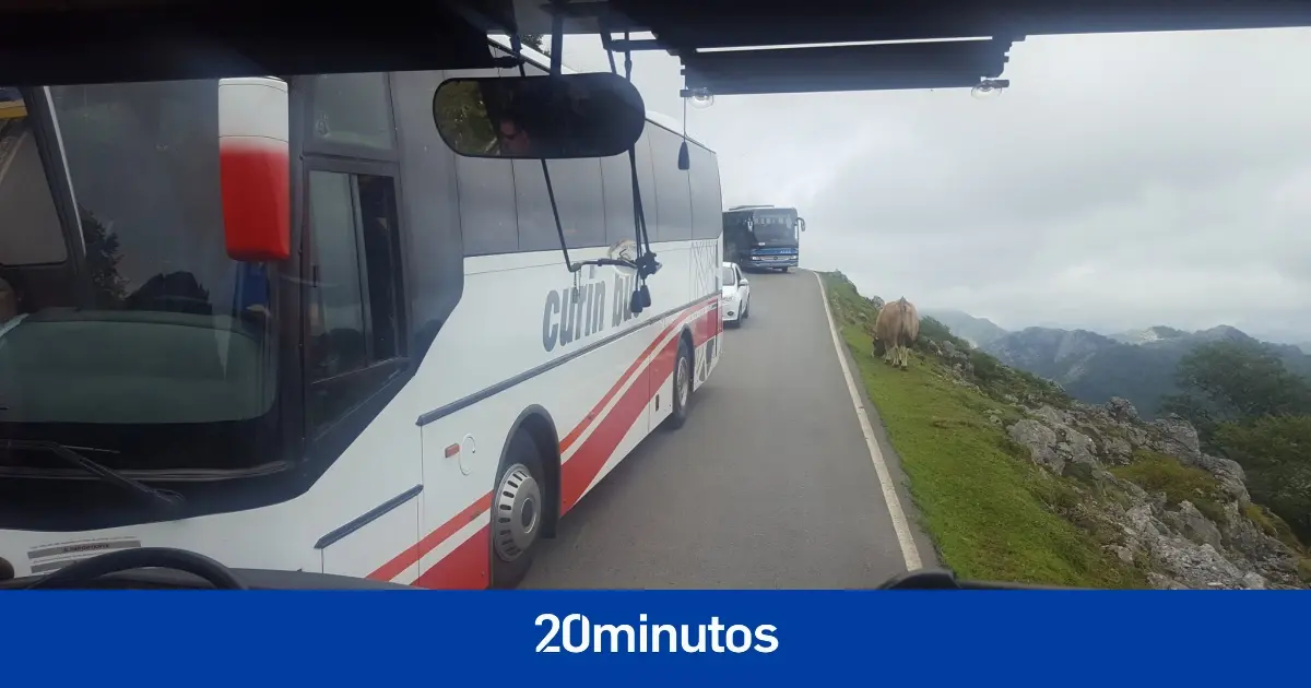 así es la estrecha y sinuosa carretera que da acceso a los Lagos de Covadonga donde ha volcado un autobús