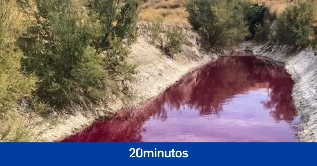 ¿Por qué la laguna de Colmenar de Oreja se tiñe de rojo en otoño?