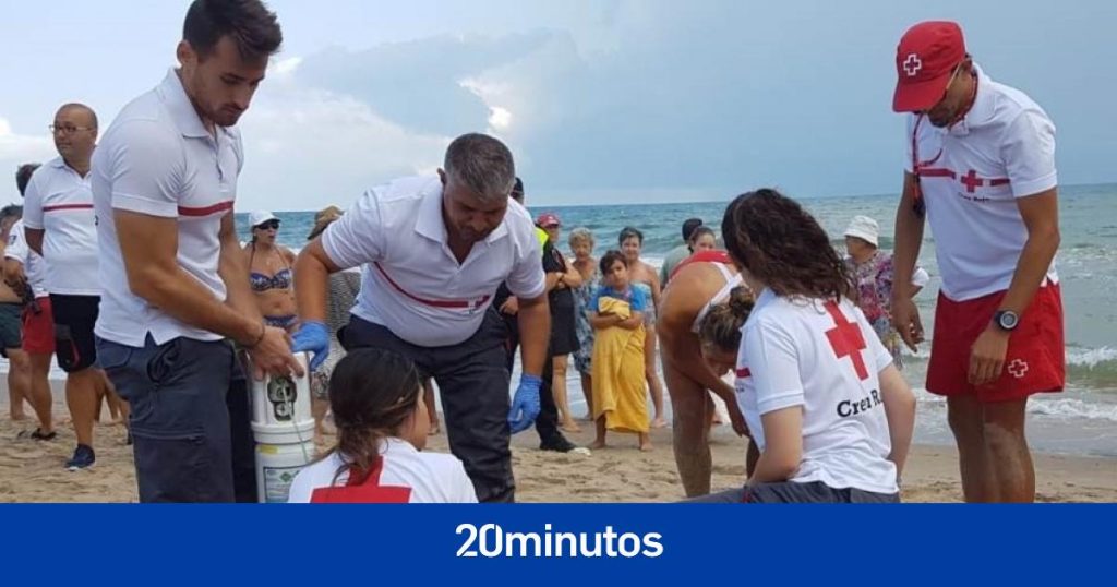 ¿Por qué la mayoría de ahogamientos se producen en el mar Mediterráneo?