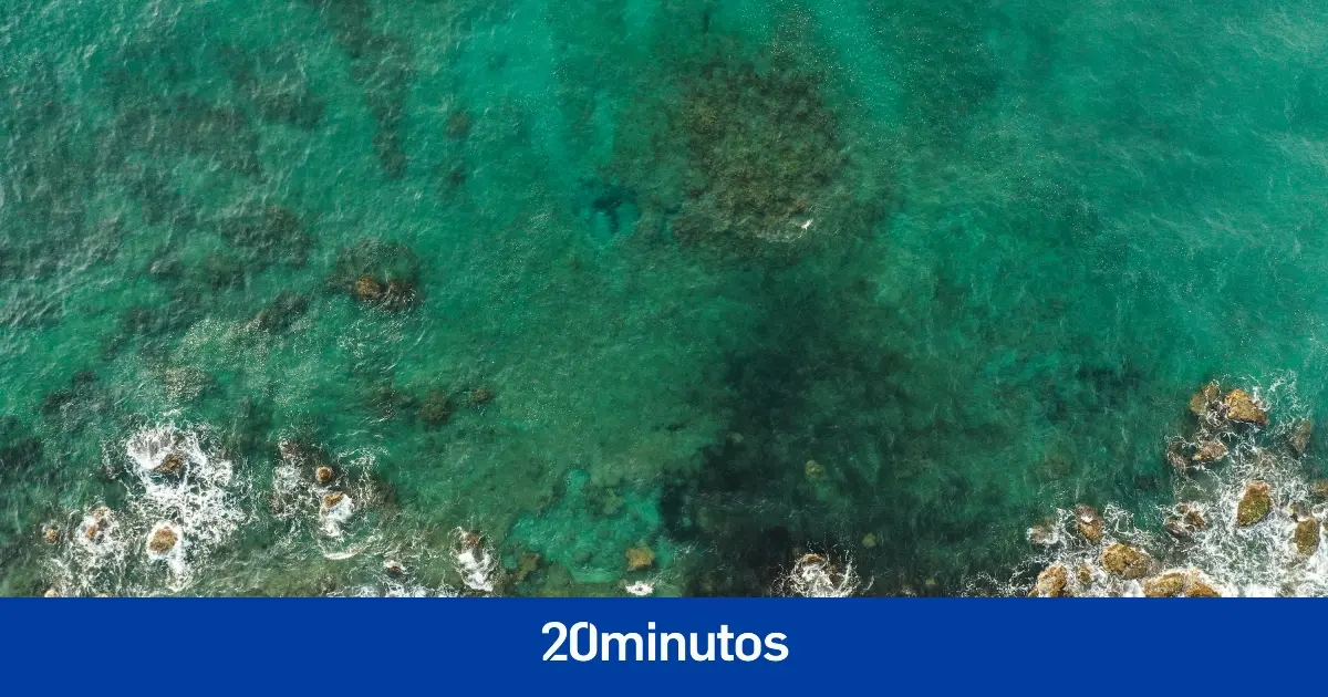 El motivo por el que el océano está cambiando de color de azul a verde