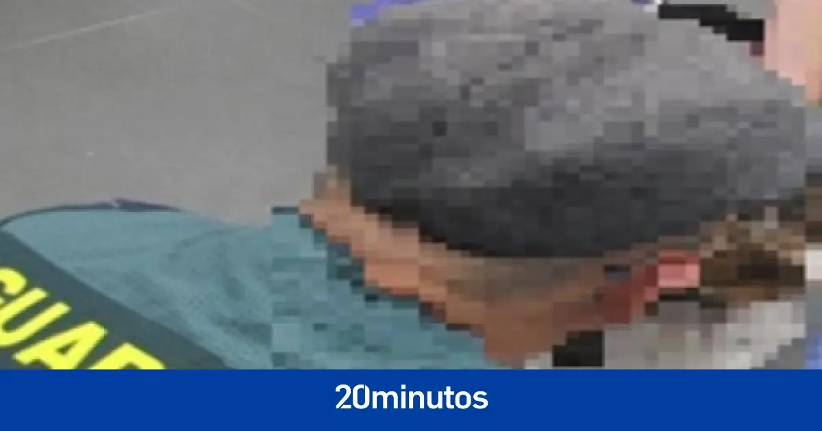 Encuentran viva a una perra que había sido eutanasiada en Aragón en una trituradora de Lleida Encuentran viva a una perra que había sido eutanasiada en Aragón en una trituradora de Lleida
