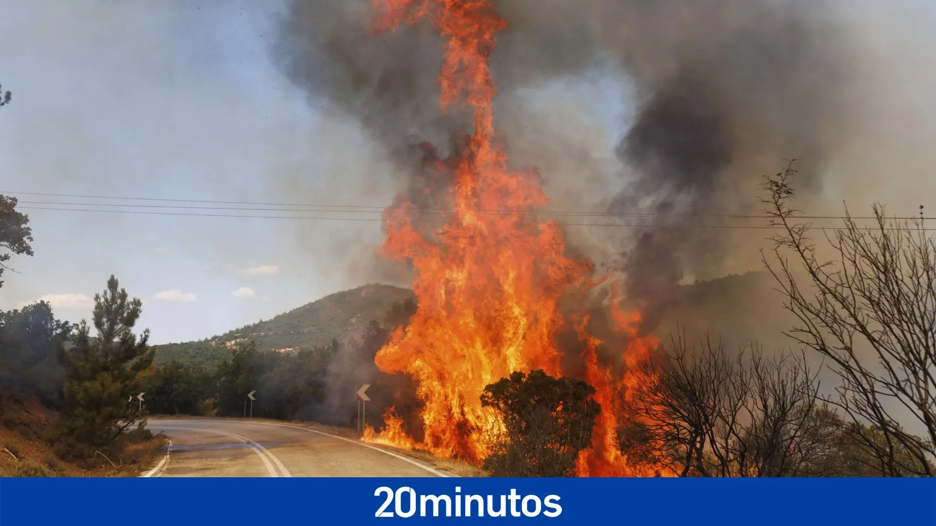 ya se han calcinado 43.000 hectáreas en una crisis «sin precedentes»