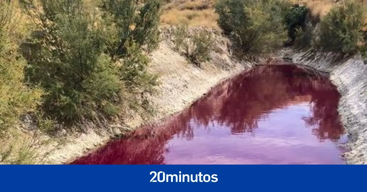 ¿Por qué la laguna de Colmenar de Oreja se tiñe de rojo en otoño?