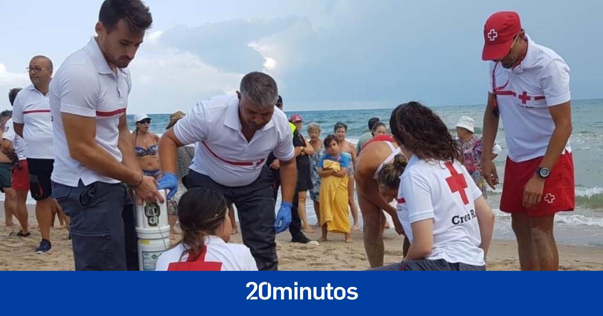¿Por qué la mayoría de ahogamientos se producen en el mar Mediterráneo?