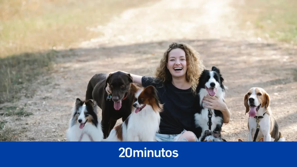Fotos: Entra en vigor la Ley de Bienestar Animal: guía práctica para tutores y protectoras